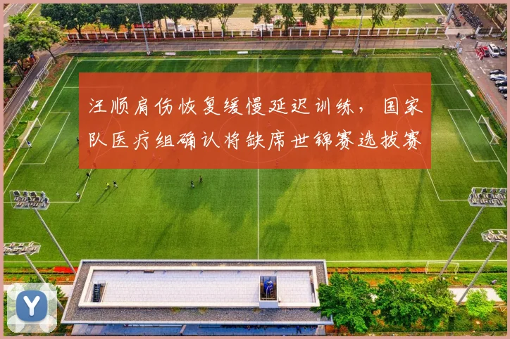 汪顺肩伤恢复缓慢延迟训练,国家队医疗组确认将缺席世锦赛选拔赛