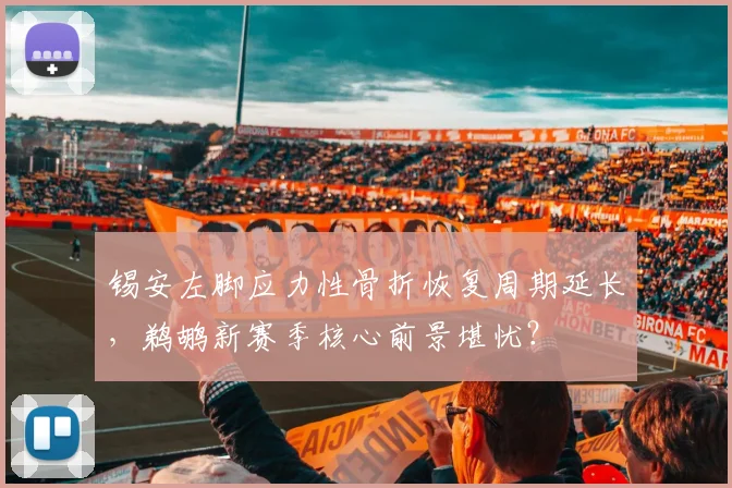 锡安左脚应力性骨折恢复周期延长,鹈鹕新赛季核心前景堪忧?